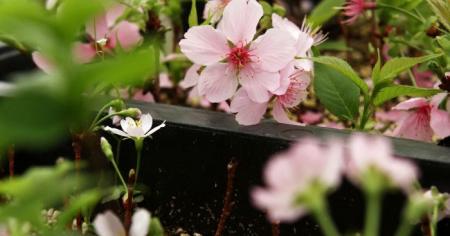 0289b2f2c3cd59000b6be0ce6043710f_21.04.26_1