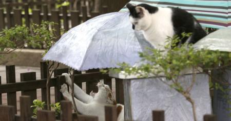 0364d82c413e624179b2deab0a4be848_06.03.26