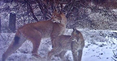 03ba27e6b86d9b71a11982315b927820_31.03.26