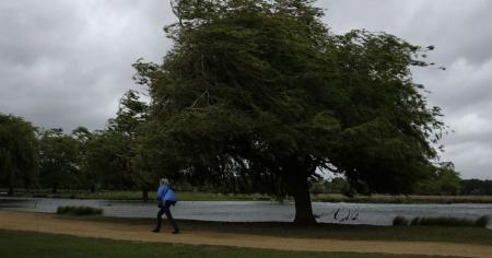 055346030c04103614ddf4b6eaba6785__24.04.26