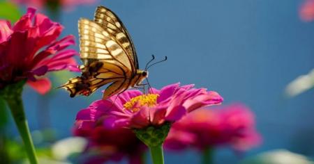 05aa82a48737a42777edc026b6143aa0_28.04.26_1