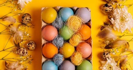 064123886ef70e34b2761273d85456c5_05.04.26_1