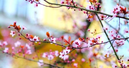 064cbef9e121bf791efa0a400ff703bb_17.04.26