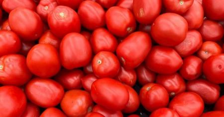 084c863124cb5b1c4d3f954778336639_06.04.26_1