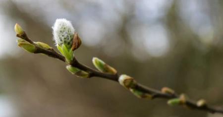 09512aa4b22ac6305f677cf90d91267c_27.02.26_1