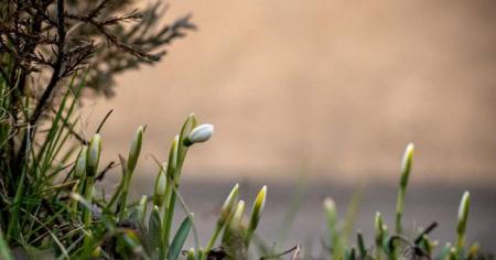 0a425f7cfcf39780db6d3d01f829cb17_02.03.26_1