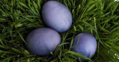 0a42dd41a6c5ec98045218a9e3f837e6_09.04.26