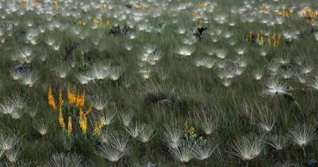 0bb7315da459f6a9722a42050cba6ad2_02.04.26