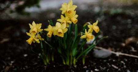 0c9e899e38faea7d8143bf2250aaf4c0_17.04.26_1