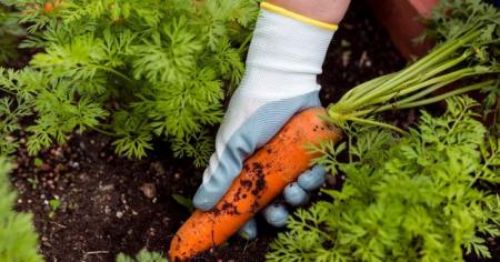 0eb6cf1c2ad9c63c5610065e5e86b648_26.04.26_1