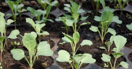 0ecc4e0309dc20d7e6023371dfce55ff_15.04.26_1