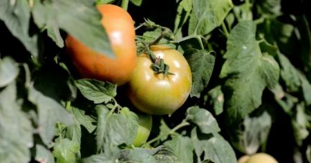 0fdd3e942c665aa35a6625978a06eb39_30.04.26_1