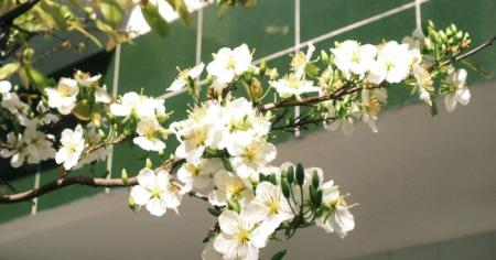 До України нарешті йде тепло: синоптикиня назвала дату різкої зміни погоди