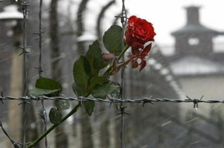 Сегодня в Украине и мире отмечают Международный день памяти жертв Холокоста