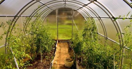 11936082c914ef7b2a175a5c79412a42_19.04.26