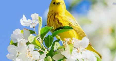 12b5bffc45577cd1ee1b954c5e2a1a0b_07.034.26_1