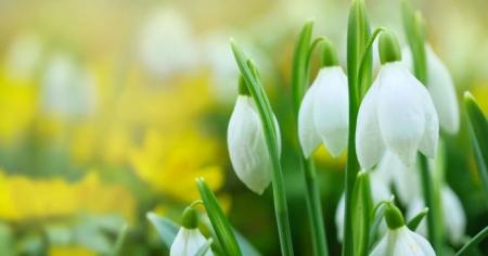 14844eabb9a0b18517f69cdda77d4b26_07.03.26_1