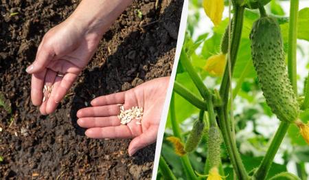 1710502875-5798_31.03.26