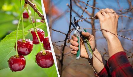 1711049081-8829_20.03.26