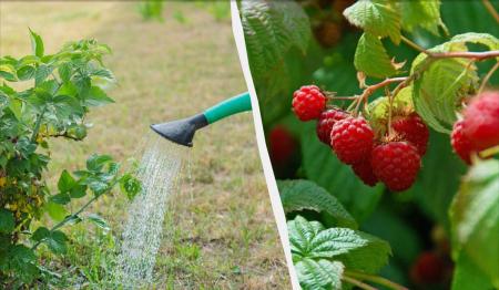 1725125370-2564_17.04.26