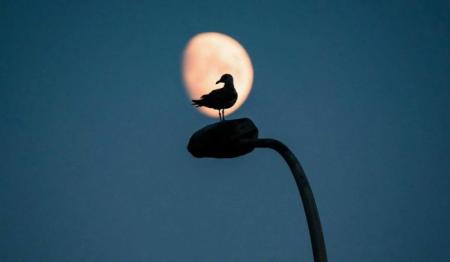 1725363027-2505_18.03.26_1