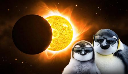 1771167279-6828_17.02.26