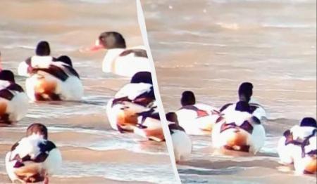 1771579694-4027_21.02.26_1