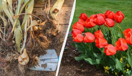 1773071801-2311_12.03.26