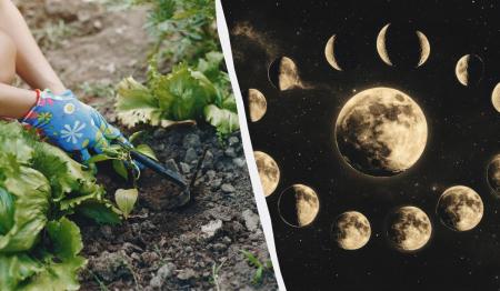 1774369253-1003_31.03.26