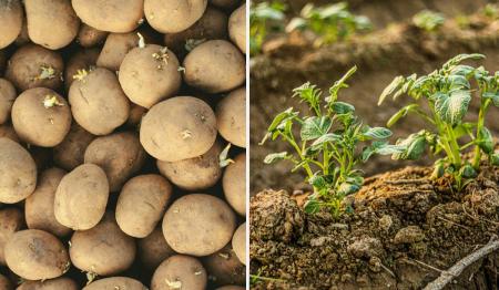 1774683130-6625_16.04.26