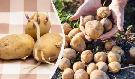 1774724113-3671_31.03.26