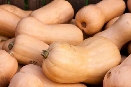 1775020740-6716_02.03.26