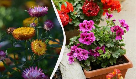 1775052931-9546_02.04.26