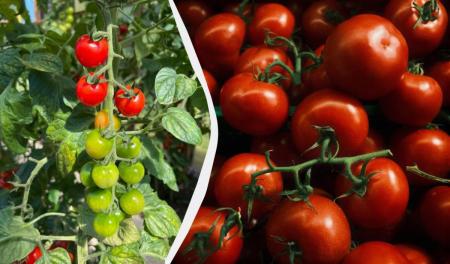 1775138993-4358_06.03.26