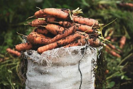 1775159366-4376_05.04.26