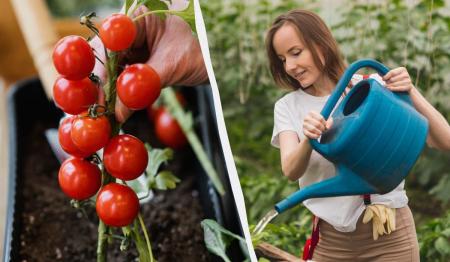 1775390902-4940_08.04.26