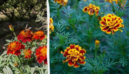 1775398921-3265_28.04.26