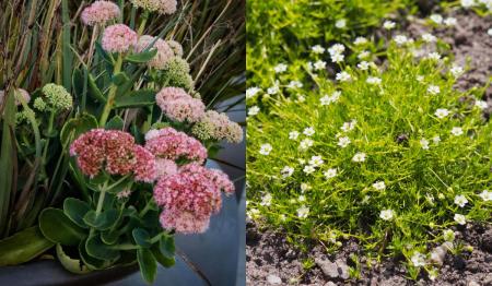 1775474291-2729_16.04.26