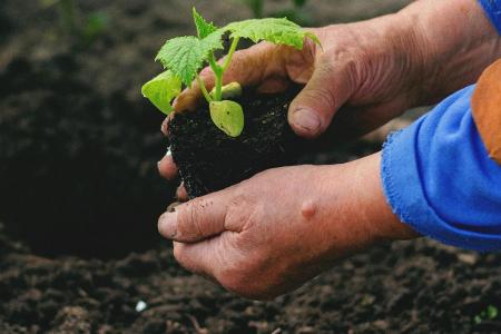 1775491749-6166_09.04.26