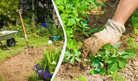 1775568205-3498_08.04.26