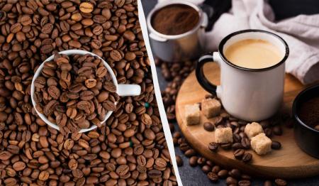 1775742247-7491_13.04.26