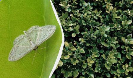 1775824684-6406_13.04.26