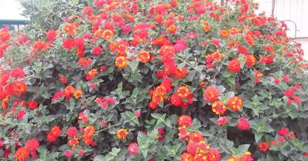 1776002617-9663_13.04.26