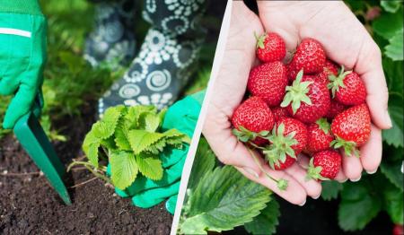 1776074183-8838_15.04.26