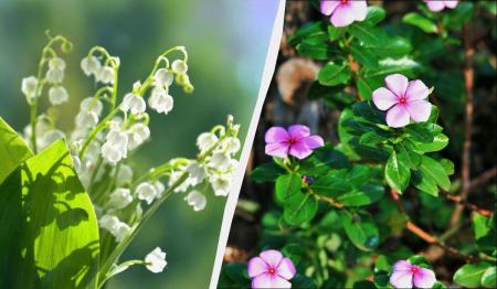 1776153599-2873_16.04.26