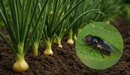 1776160213-7141_22.04.26