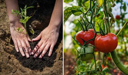 1776171501-2250_25.04.26