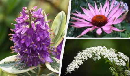 1776245707-1711_17.04.26