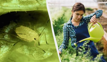 1776318023-4933_25.04.26