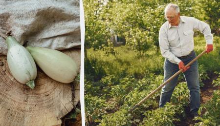 1776358322-9397_22.04.26